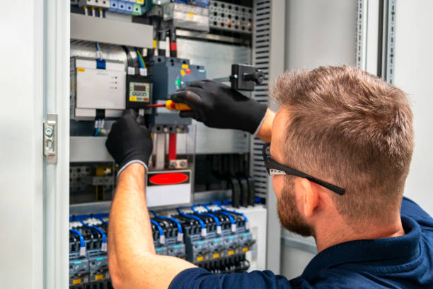 Best Electric Panel Repair  in South Fallsburg, NY